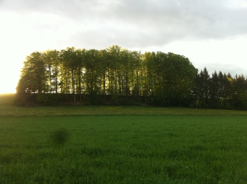 tracer european summer 2012 tour iphone pics 96