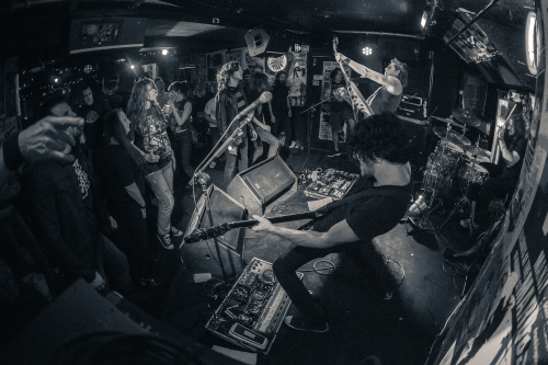 tracer frankies pizza by the slice 36