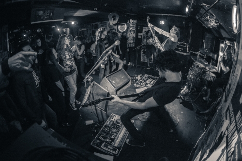 tracer frankies pizza by the slice 36 (1)