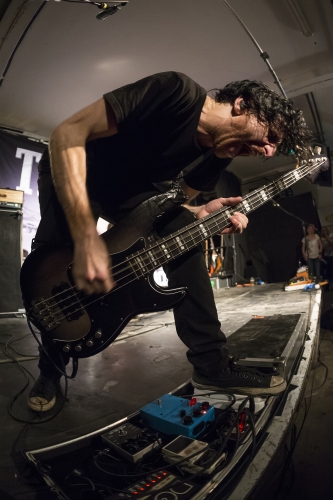 tracer hull UK fruit 31