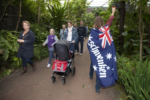 tracer off day arnhem NL may 2012 14