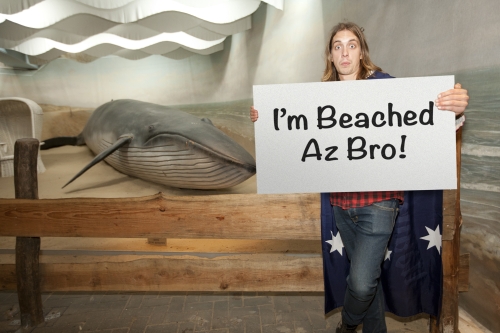 tracer off day arnhem NL may 2012 19