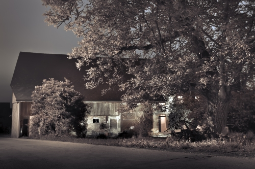 tracer off day the farm wolfwil CH may 2012 02 (1)