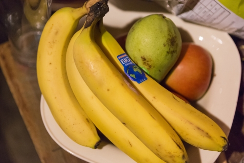 tracer poznan PL minoga 04