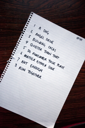 tracer rosrock festival rossem NL july 2012 01