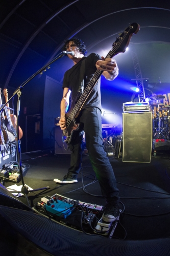 tracer the triffid 26