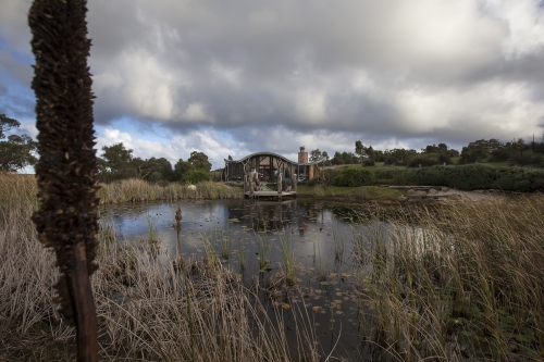 tracer tracking water for thirsty dogs day 01 tuesday 2014 16