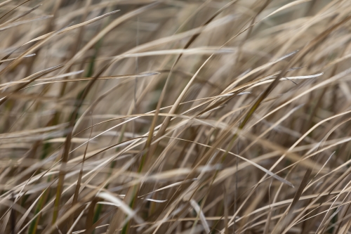 tracer tracking water for thirsty dogs day 02 wednesday 2014 05
