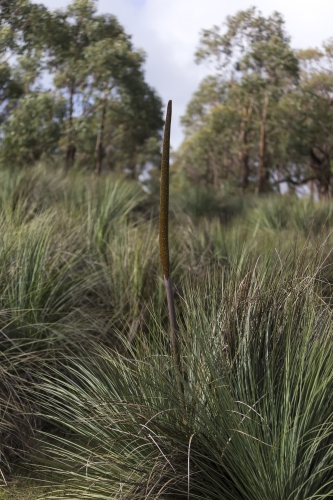 tracer tracking water for thirsty dogs day 02 wednesday 2014 09
