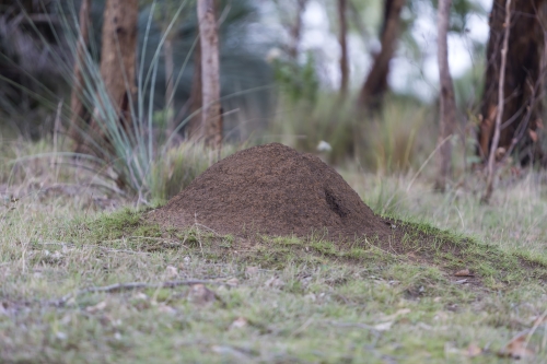 tracer tracking water for thirsty dogs day 02 wednesday 2014 10