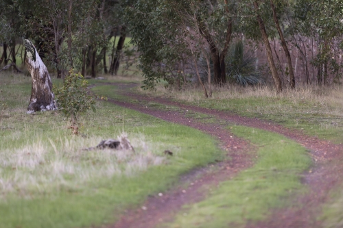 tracer tracking water for thirsty dogs day 02 wednesday 2014 13