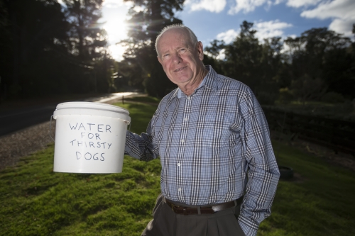 tracer tracking water for thirsty dogs day 03 thursday 2014 08