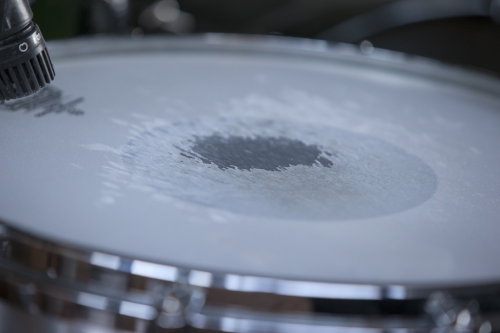 tracer tracking water for thirsty dogs day 03 thursday 2014 19