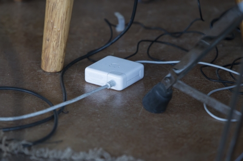 tracer tracking water for thirsty dogs day 03 thursday 2014 21