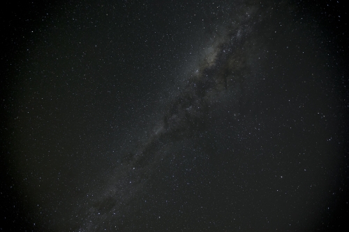 tracer tracking water for thirsty dogs day 04 friday 2014 01