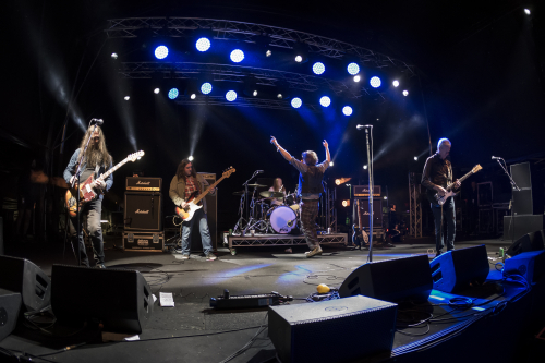 tumbleweed yours and owls festival 12