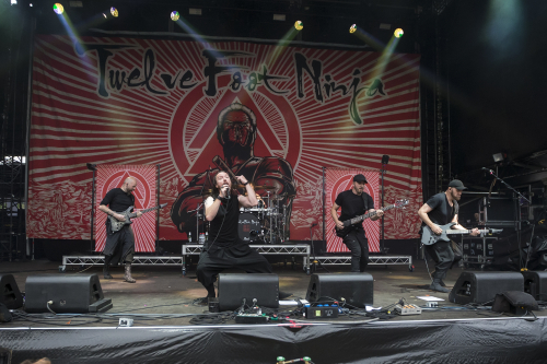 twelve foot ninja download festival 08