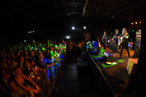 violent femmes waves 11