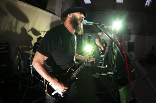 walruss shipwrecked sounds 11-copy