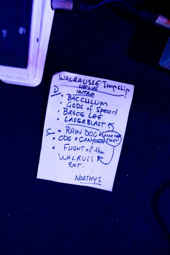 walruss shipwrecked sounds 13-copy