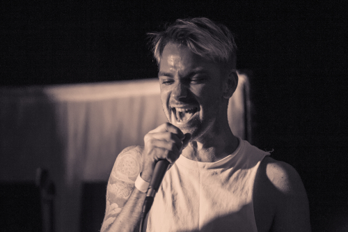 wendy icon selinas 02