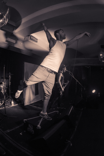 wendy icon selinas 12