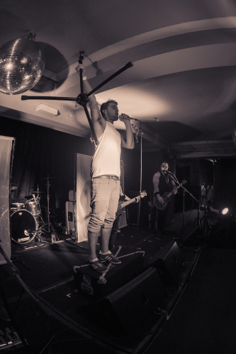 wendy icon selinas 13