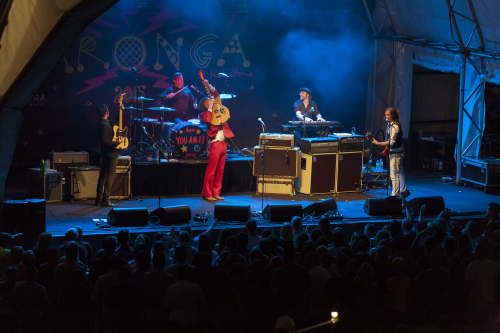 you am i twilight at taronga 10