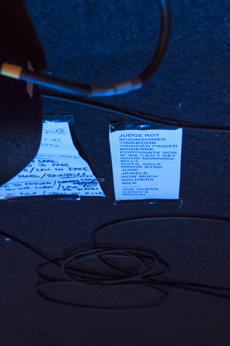 you am i twilight at taronga 30